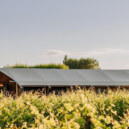 Villas & Vines Glamping Hastings Extérieur photo