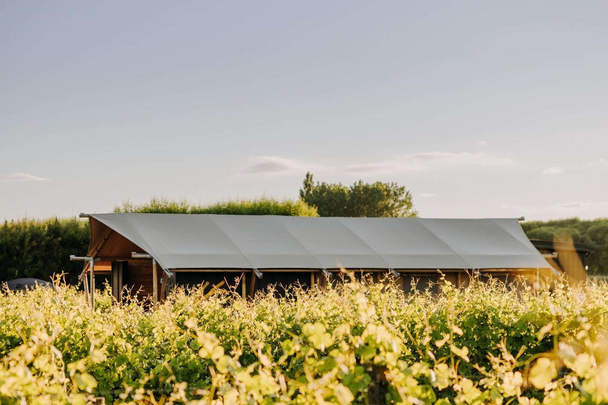 Villas & Vines Glamping Hastings Extérieur photo