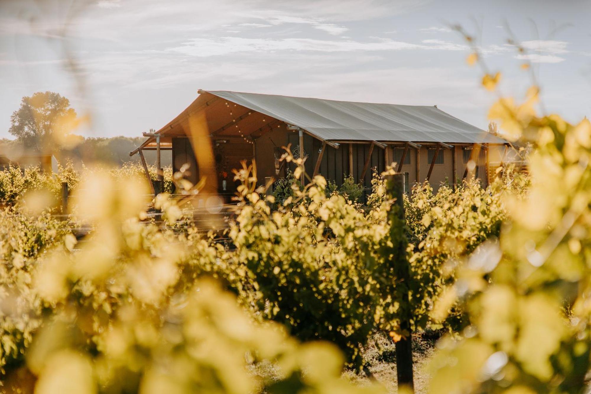 Villas & Vines Glamping Hastings Extérieur photo