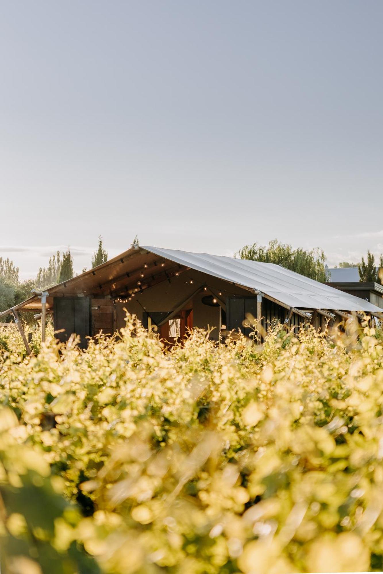 Villas & Vines Glamping Hastings Extérieur photo