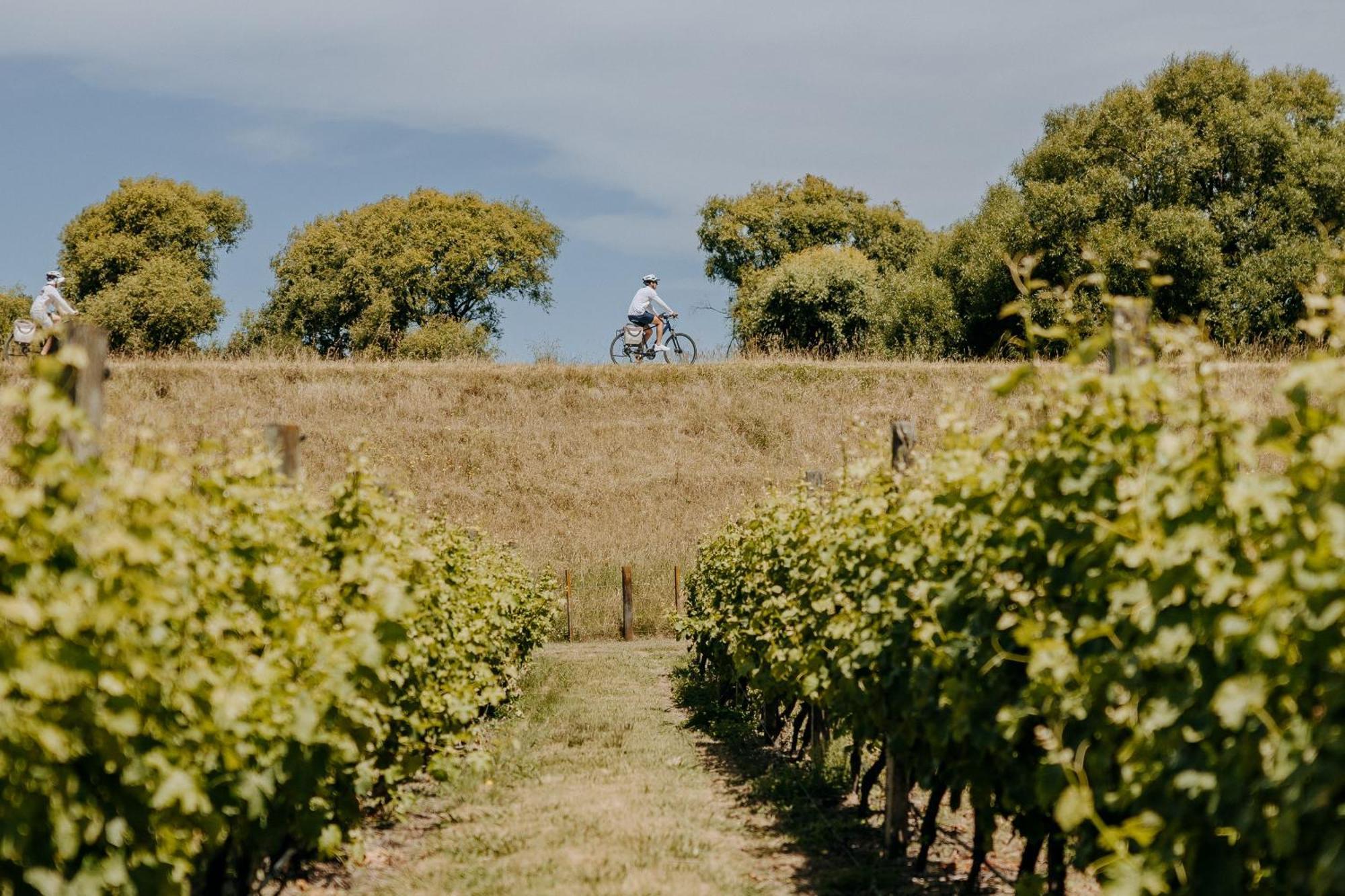 Villas & Vines Glamping Hastings Extérieur photo